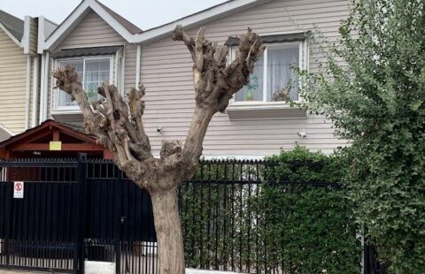 En venta Casa – Maipu